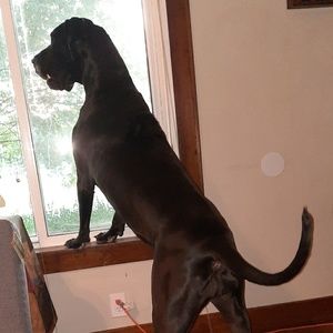 Meet your Posher, Traci